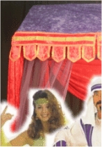 Click here to view all our 'A Night in Cairo' Parti Costumes