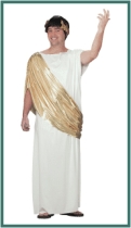 Click here for more information on our 'Greek Senator' Parti Costume